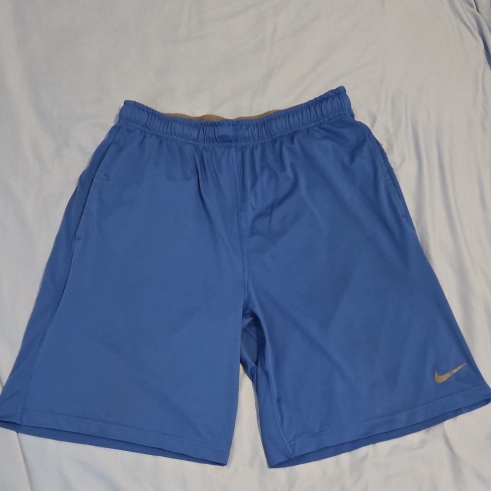Nike Men's Blue Athletic Shorts